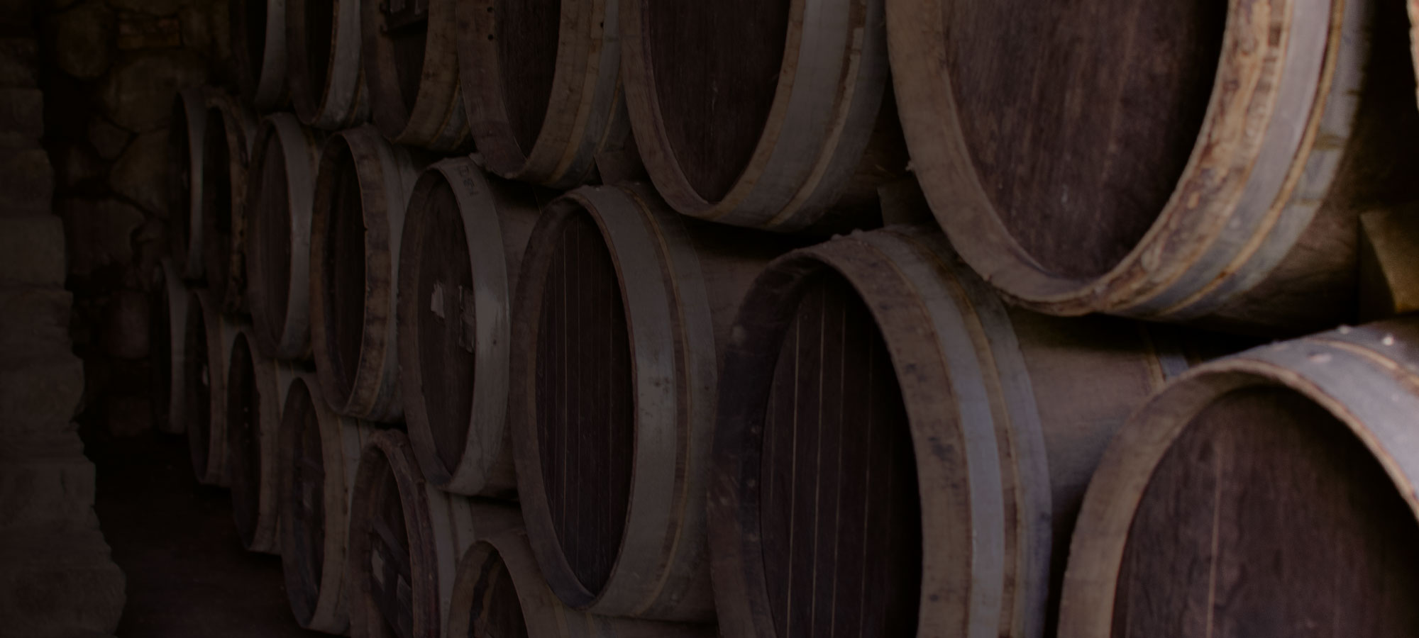 Tequila Creation Process